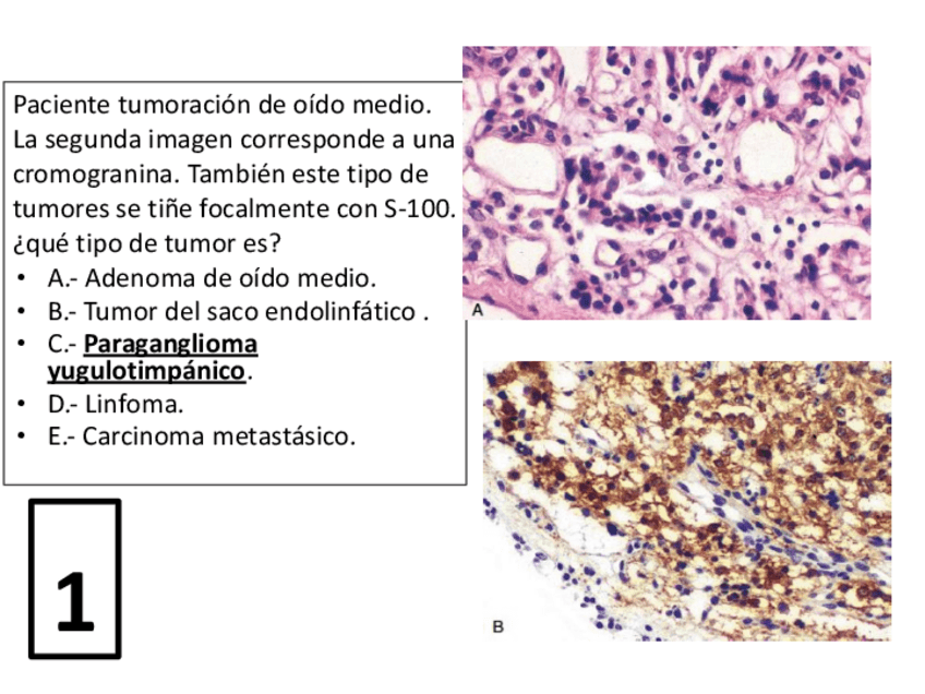 Miniatura del documento 2014.-Examen-imagenes.pptx.pdf