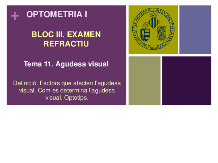 Miniatura del documento Tema-11.-Agudesa-visual.pdf