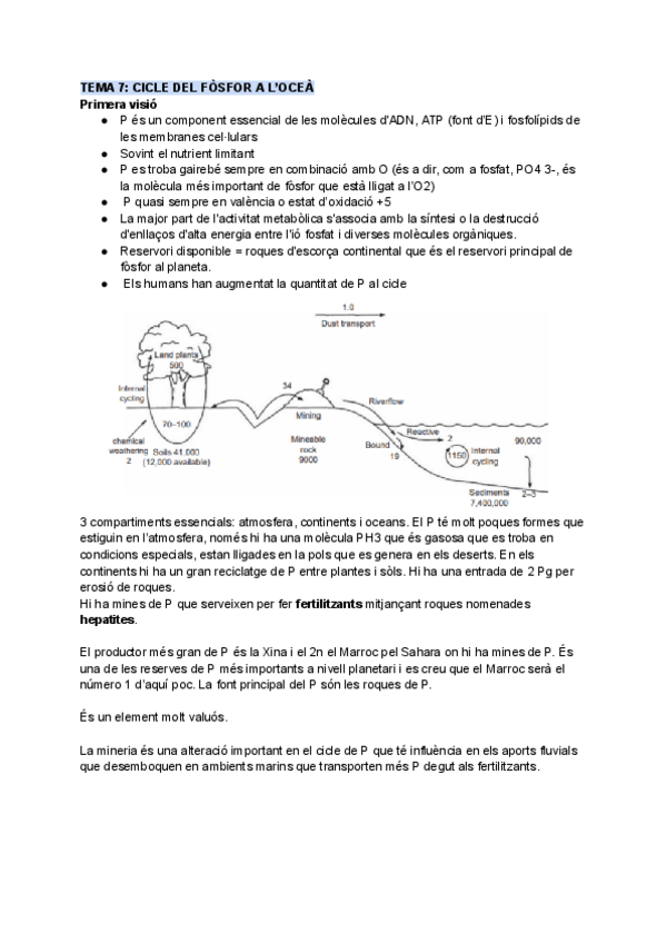 Miniatura del documento TEMA-7-CICLE-DEL-FOSFOR-A-LOCEA.pdf