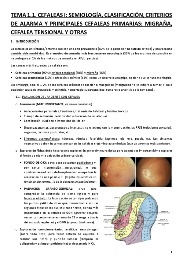 Miniatura del documento TEMA-01.1.-CEFALEAS-I.-SEMIOLOGIA-CLASIFICACION-CRITERIOS-DE-ALARMA-Y-PRINCIPALES-CEFALEAS-PRIMARIAS.-MIGRANA-CEFALEA-TENSIONAL-Y-OTRAS.pdf
