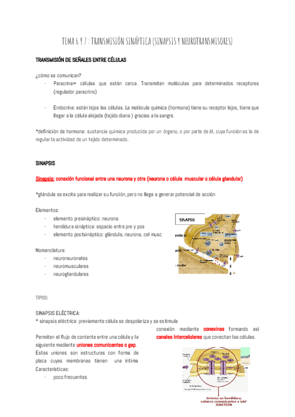 Miniatura del documento TEMA-6-Y-7--TRANSIMISION-SINAPTICA-2.pdf
