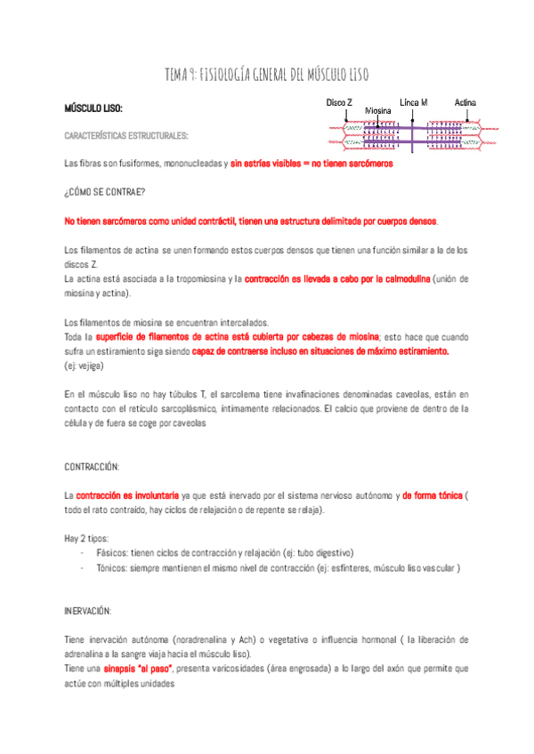 Miniatura del documento TEMA-9-FISIOLOGIA-GENERAL-DEL-MUSCULO-LISO.pdf