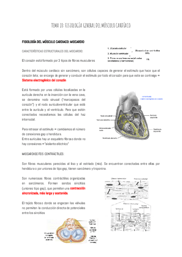 Miniatura del documento TEMA-10-FISIOLOGIA-GENERAL-DEL-MUSCULO-CARDIACO.pdf