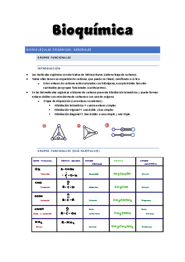 Miniatura del documento Bioquimica-Tema-2GLUCIDOSBlancaSomalo.pdf