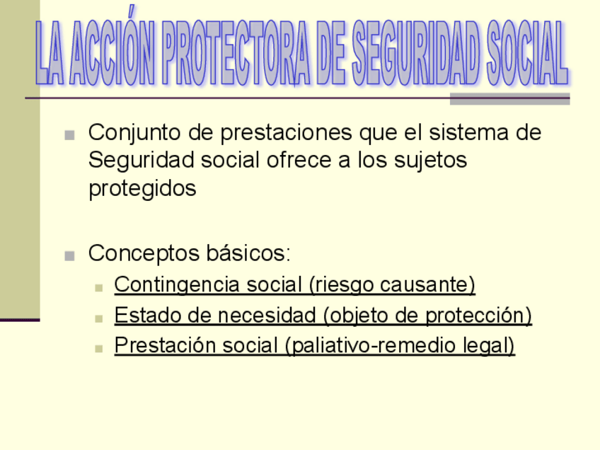 Miniatura del documento Tema-7-Accion-protectora.ppt.pdf