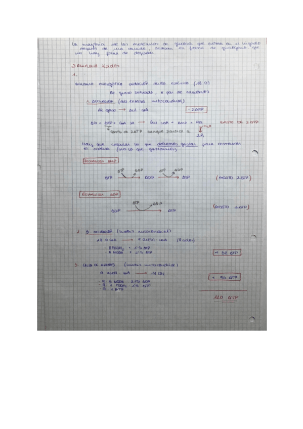 Miniatura del documento SEMINARIO-6.pdf