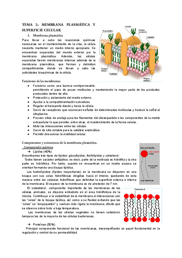 Miniatura del documento bio-tema-2.pdf