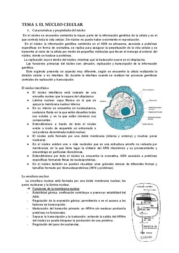 Miniatura del documento bio-tema-3.pdf