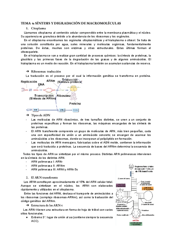 Miniatura del documento bio-tema-4.pdf