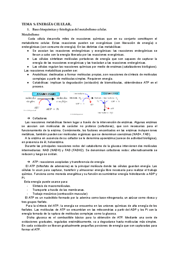 Miniatura del documento bio-tema-5.pdf