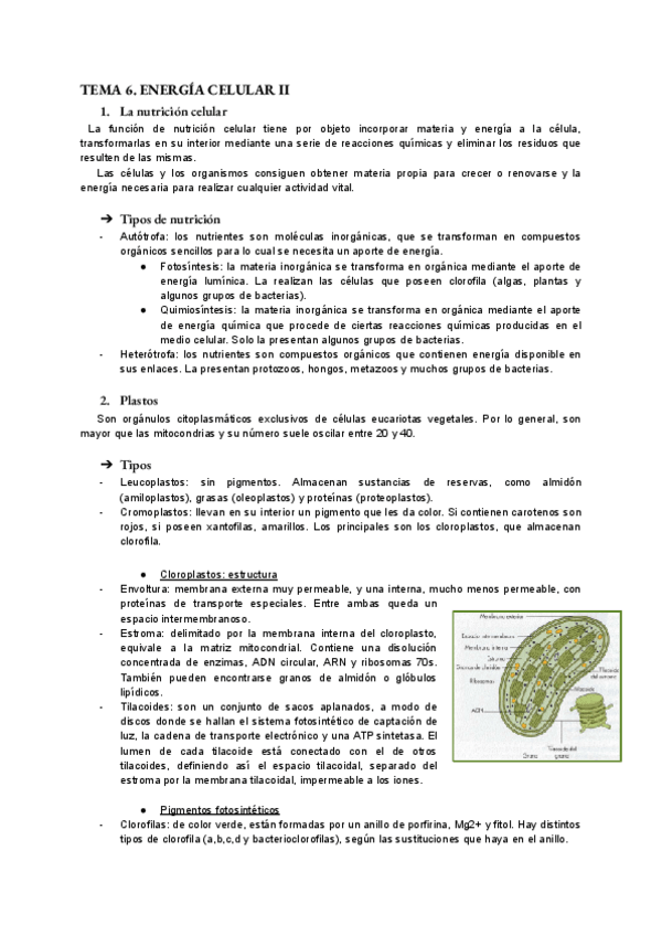 Miniatura del documento bio-tema-6.pdf