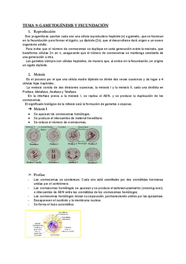 Miniatura del documento bio-tema-9.pdf