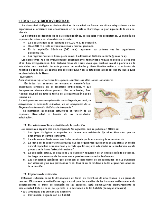 Miniatura del documento bio-tema-12-13.pdf
