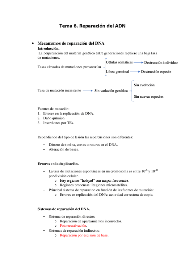 Miniatura del documento Tema-6.-Reparacion-del-ADN.pdf