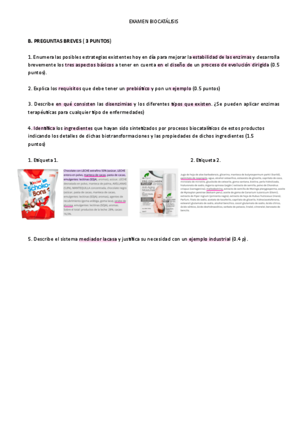 Miniatura del documento Preguntas-Desarrollo.pdf