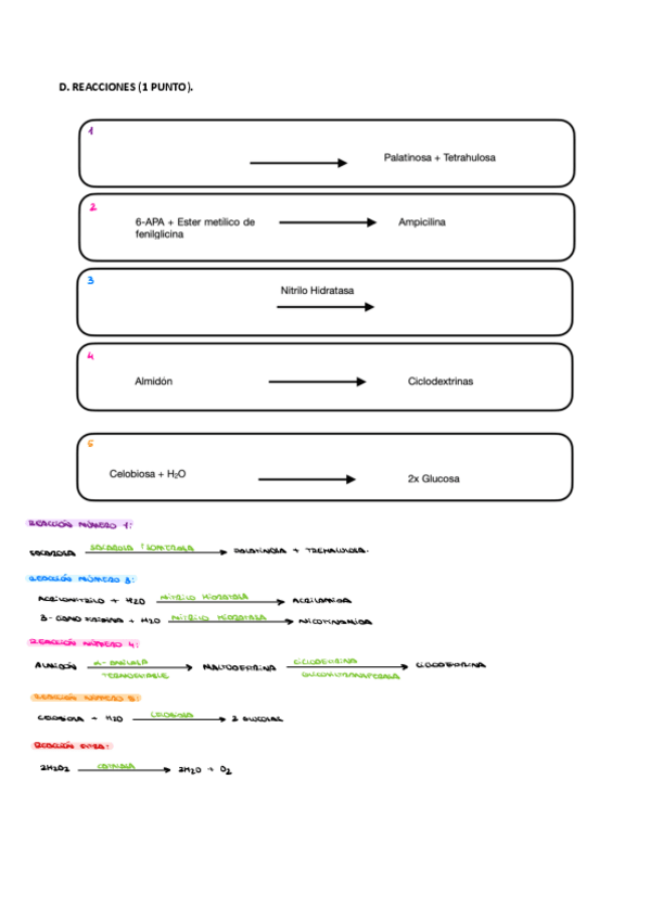 Miniatura del documento Reacciones-Examen.pdf