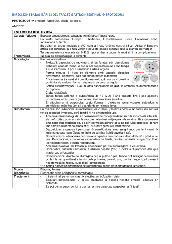 Miniatura del documento taules-parasito.pdf
