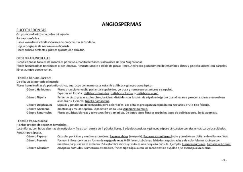 Miniatura del documento Documento (2).pdf