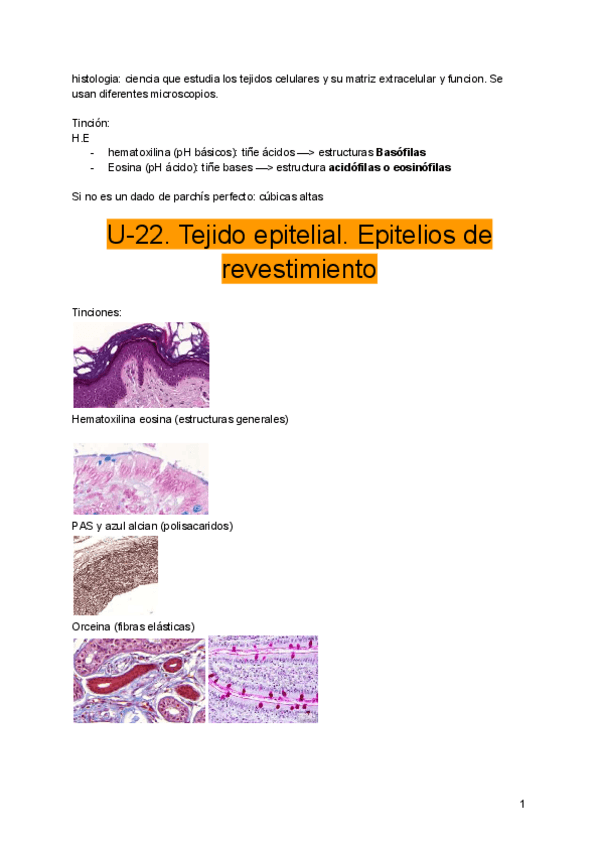 Miniatura del documento Histologia.pdf