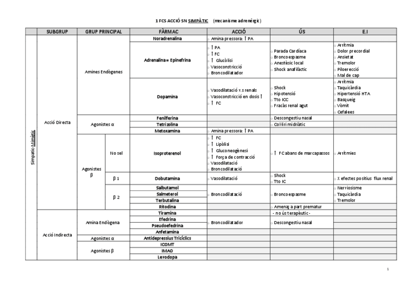 Miniatura del documento esquema-fcs.pdf