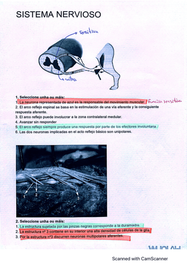 Miniatura del documento verdadero-falso-Pablo-CORREGIDO.pdf