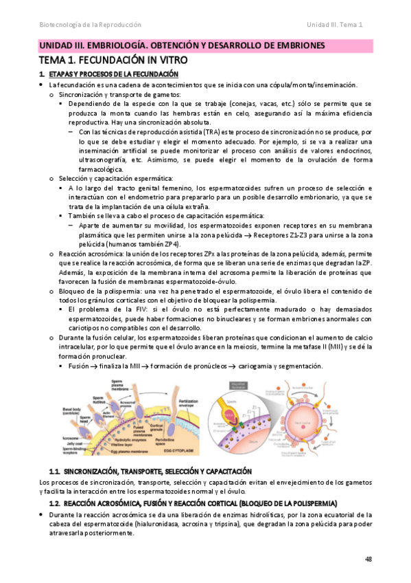 Miniatura del documento Unidad-3.-Tema-1.pdf
