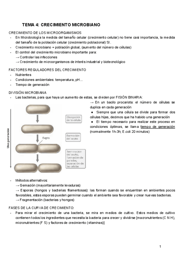 Miniatura del documento MICROBIOLOGIA-TEMA-4.pdf