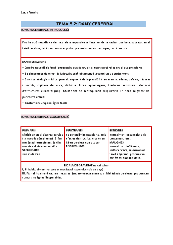 Miniatura del documento TEMA-5.2.pdf