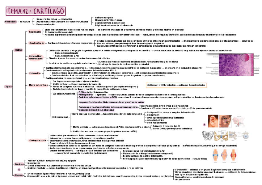 Miniatura del documento 12.pdf