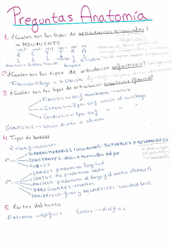 Miniatura del documento PREGUNTAS TEMARIO COMPLETO ANATOMÍA.pdf