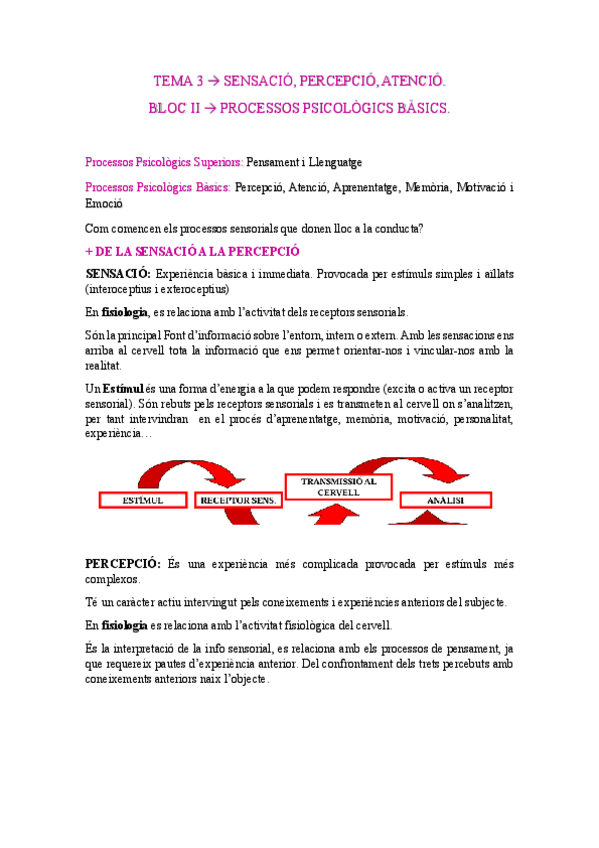 Miniatura del documento -Psicologia-General-TEMA-3.pdf