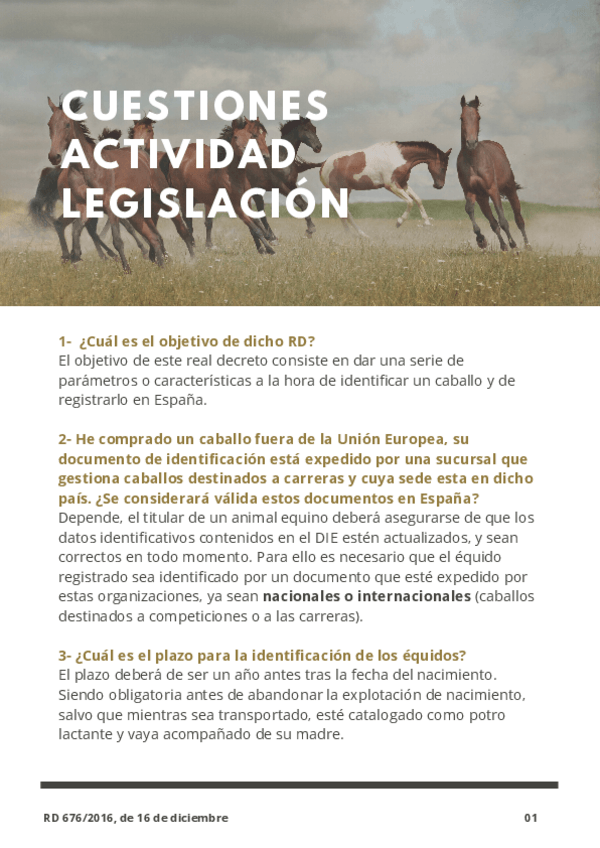 Miniatura del documento Ejercicio-de-Legislacion-RD-676-2016-de-16-de-diciembre.pdf