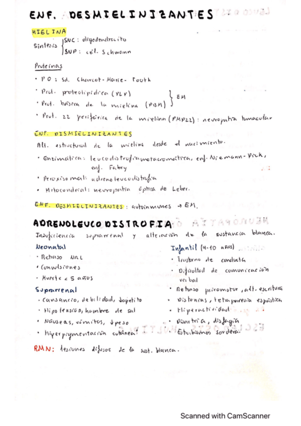 Miniatura del documento Enfermedades-desmielinizantes.pdf
