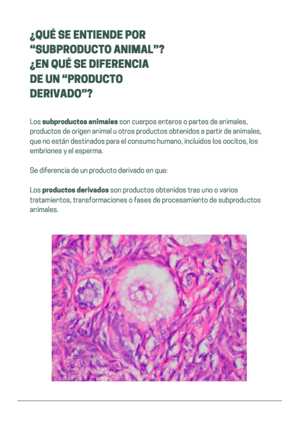 Miniatura del documento ELIMINACION-DE-DESECHOS-CCEE-G-del-RA4-y-RA5.pdf