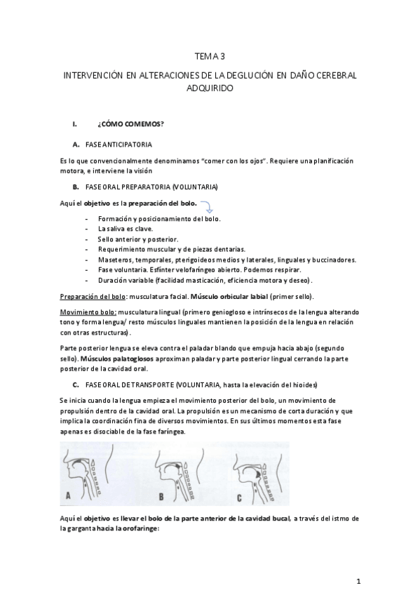 Miniatura del documento TEMA-3.pdf