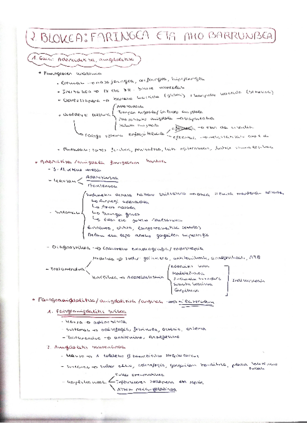 Miniatura del documento Faringea-eta-aho-barrunbea (2023-2024).pdf