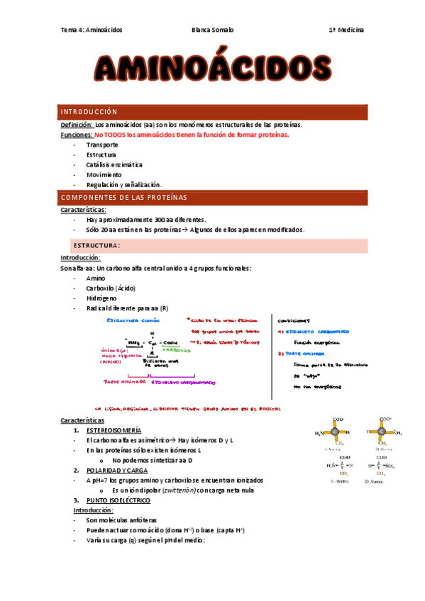 Miniatura del documento Tema-4-AminoacidosBioquimicaBlancaSomalo.pdf