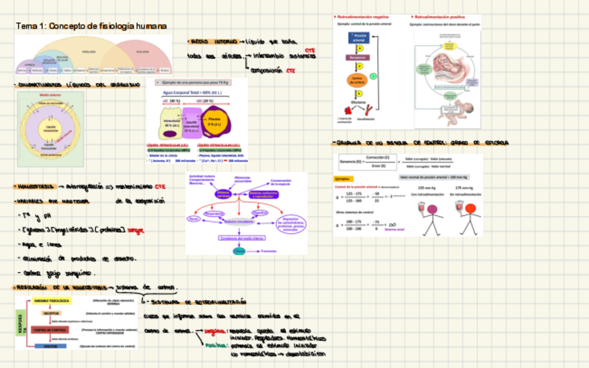Miniatura del documento Esquemas-FH I-Primer-Parcial.pdf