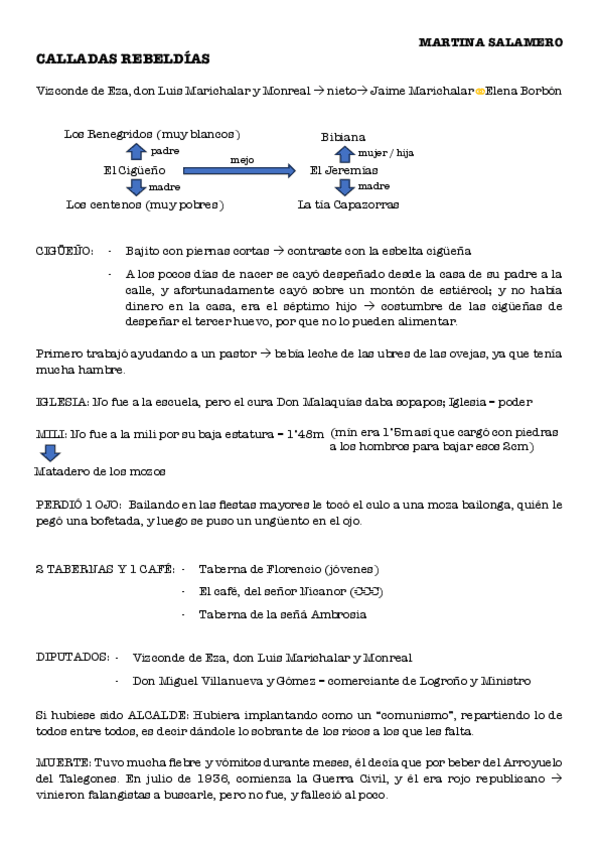 Miniatura del documento LIBRO-CALLADAS-REBELDIAS-resumen.pdf