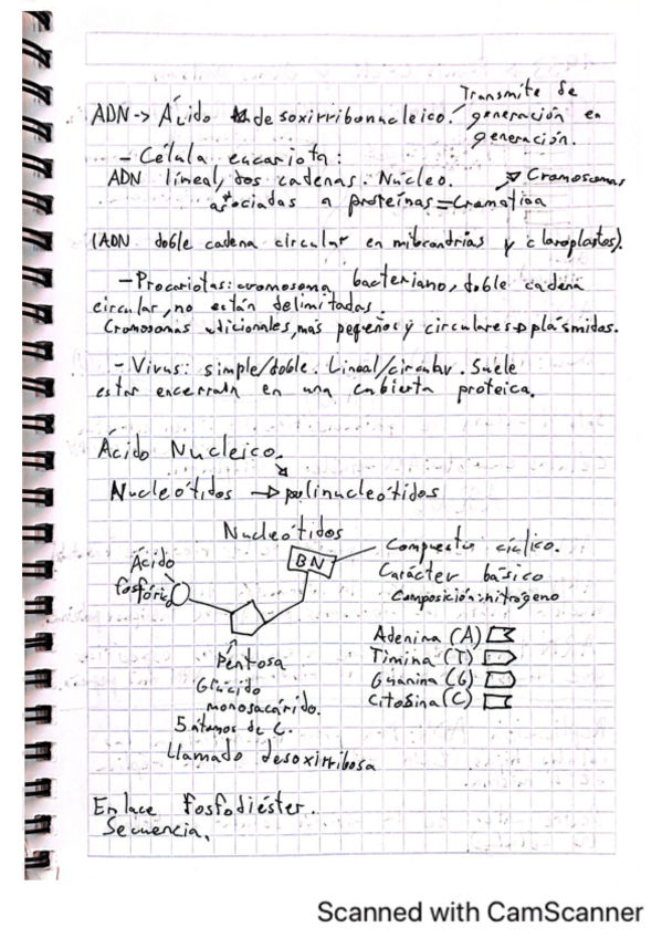 Miniatura del documento Ácidos.pdf