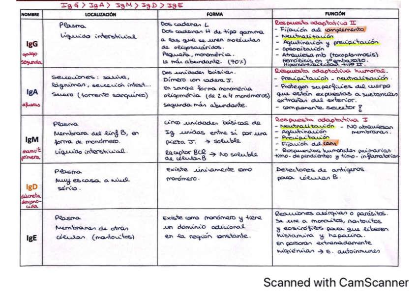 Miniatura del documento Inmunoglobulinas.pdf