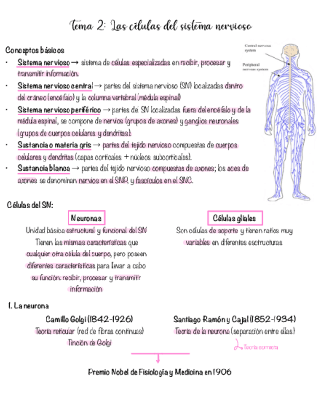 Miniatura del documento tema-2.pdf