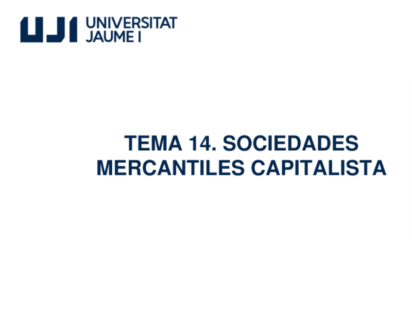 Miniatura del documento TEMA-14-1009-Mercantil.pdf