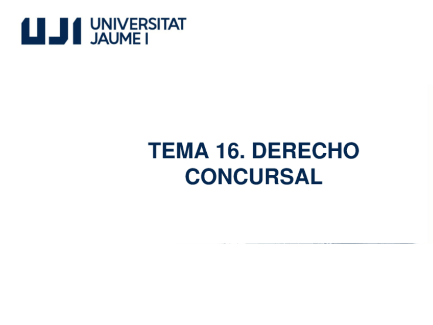 Miniatura del documento TEMA-16-1009-Mercantil.pdf