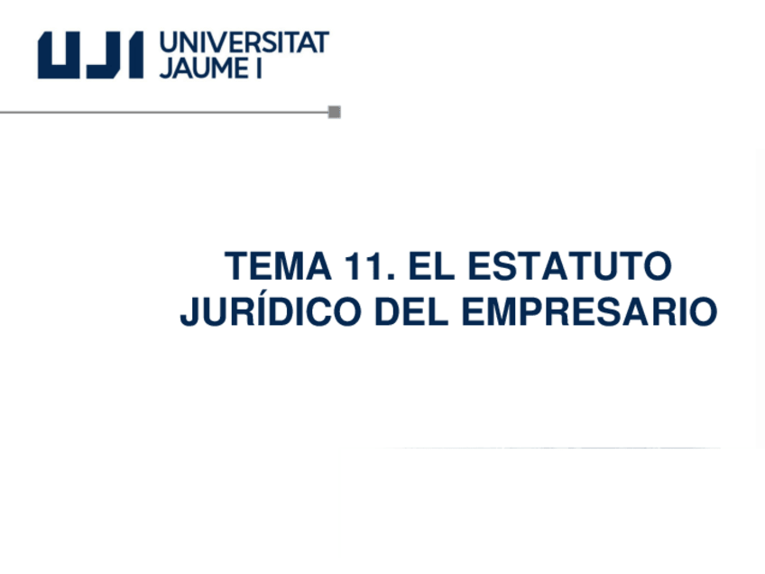 Miniatura del documento TEMA-11-1009-Mercantil.pdf