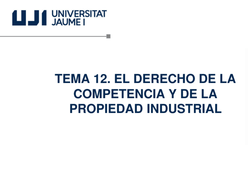 Miniatura del documento TEMA-12-1009-Mercantil.pdf