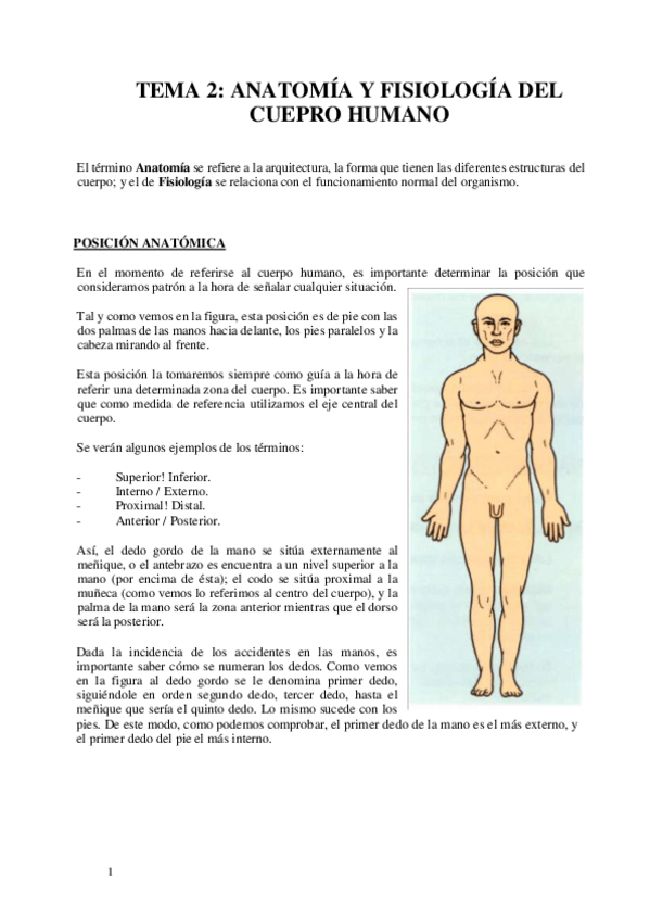 Miniatura del documento 2.-Anatomia-y-fisiologia-del-cuerpo-humano.pdf