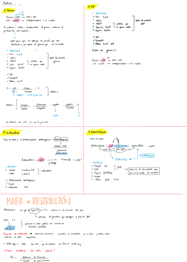 Miniatura del documento Resumen-practicas.pdf