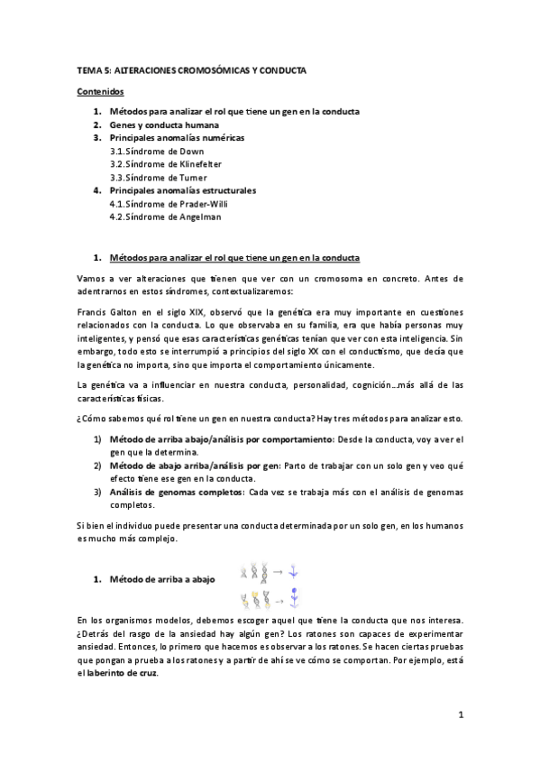 Miniatura del documento TEMA-5.pdf