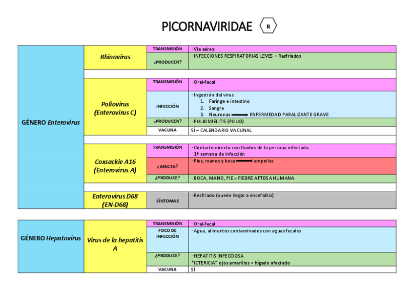 Miniatura del documento CLASIFICACION-VIRUS-ARN-PDF.pdf